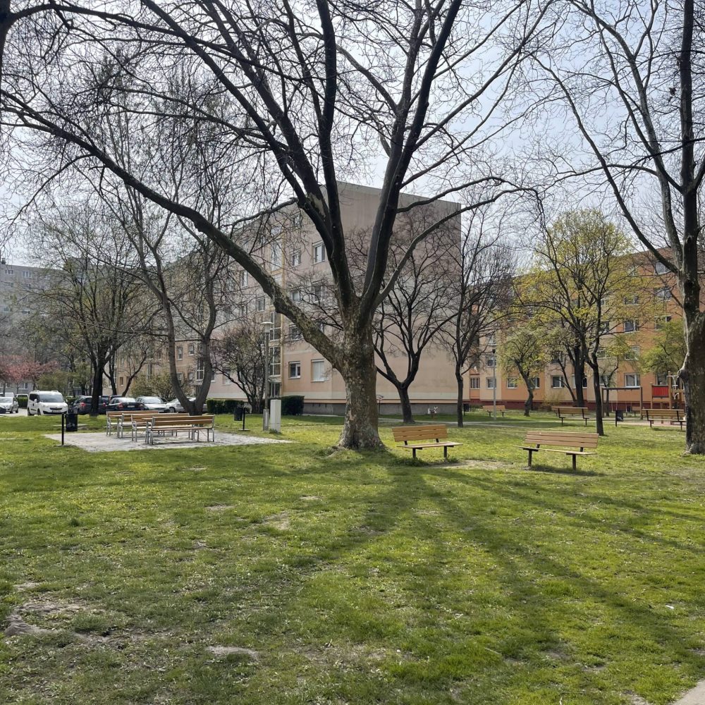 kornyezet2-min