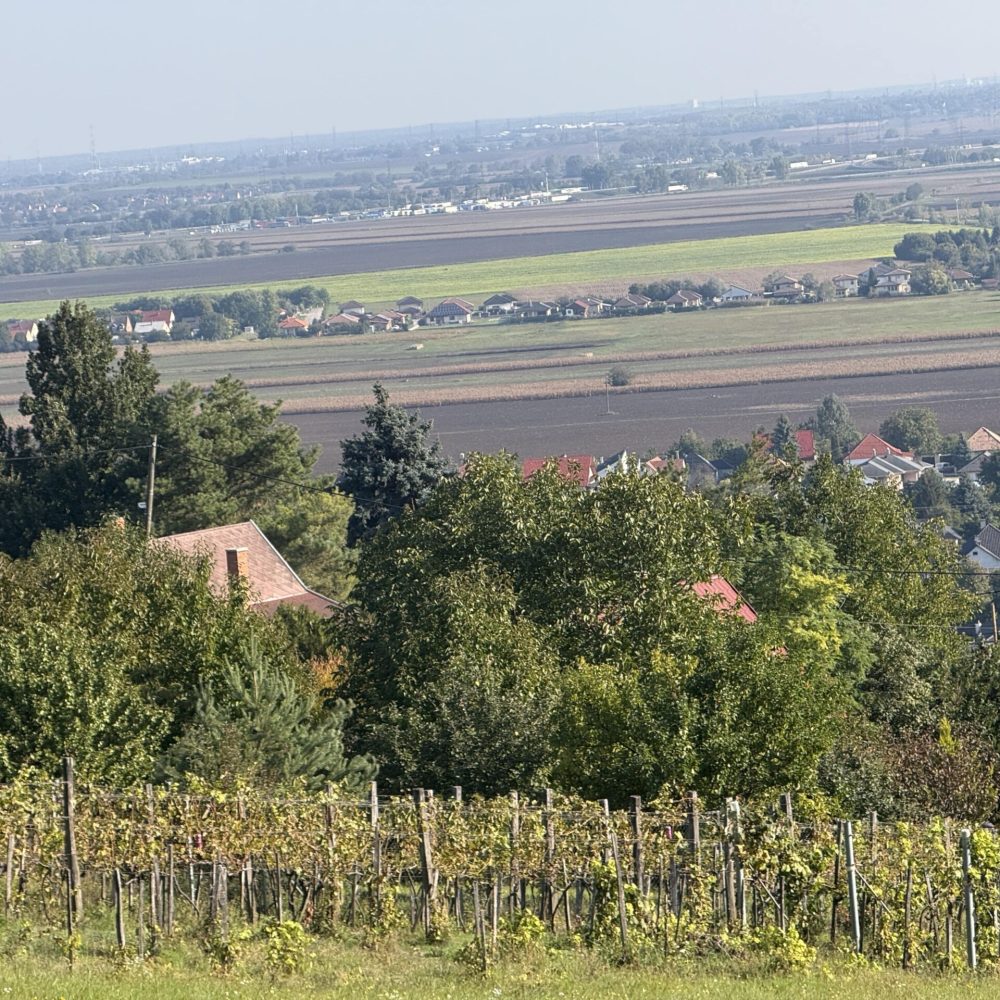 panorama2-min